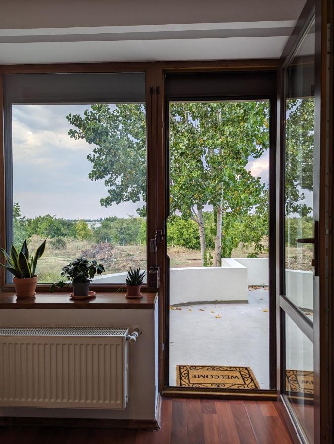 Horizon View Villa - Lakefront Terrace Suite ブカレスト エクステリア 写真
